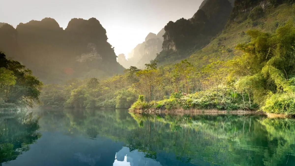 高效全自动精密